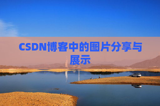 CSDN博客中的图片分享与展示